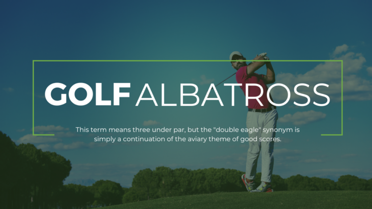 Albatross in Golf