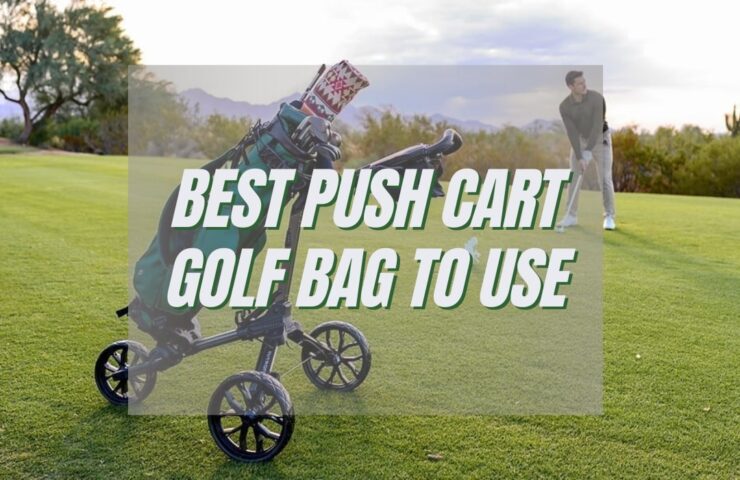 10 best push carts of 2023